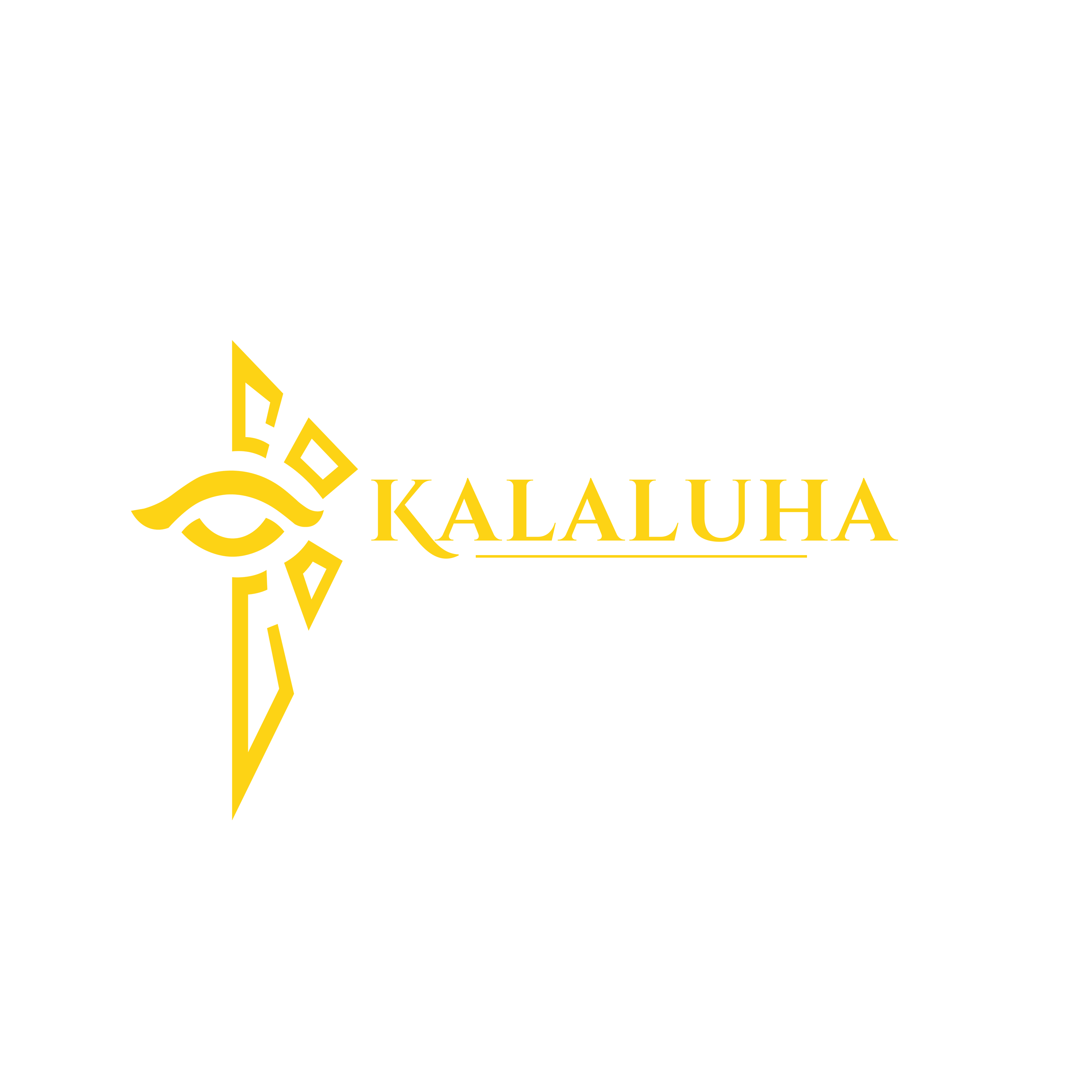 Logo Kalaluha Co